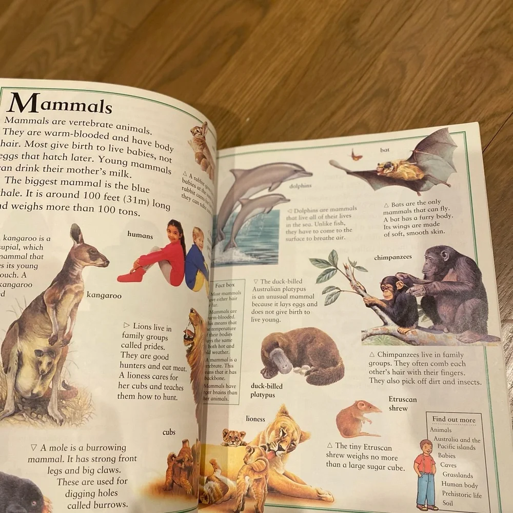 National Geographic discover amazing